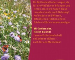 Prospekt "Blühende Landschaft"