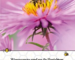 Prospekt "Honigbiene"